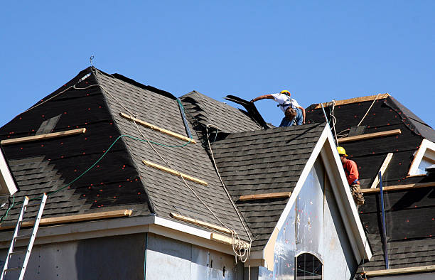 Best Roof Gutter Cleaning  in Lincolnton, GA